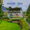 Réassurance Hydrodiv