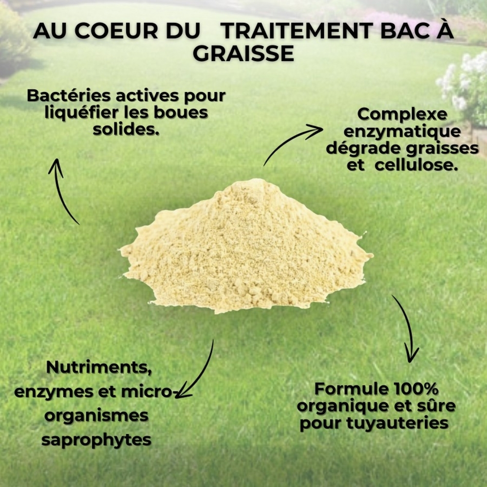 TRAITEMENT BAC A GRAISSE , ASSAINISSEMENT : POUDRE AUX ENZYMES 5 KG