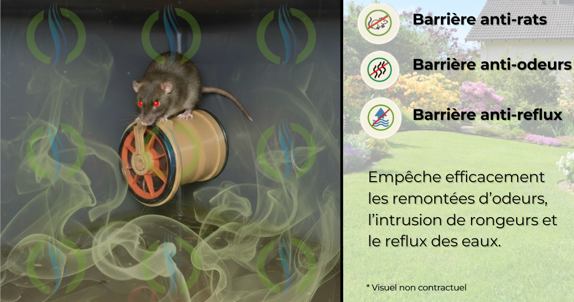 Illustration d'un rat bloqué par un clapet anti-retour HYDRODIV dans un regard d'évacuation avec présence de fumée symbolisant les mauvaises odeurs. Le texte souligne l'efficacité du clapet comme barrière anti-rats, barrière anti-odeurs et protection contre le reflux des eaux dans les canalisations.